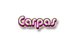 Carpas_Renta