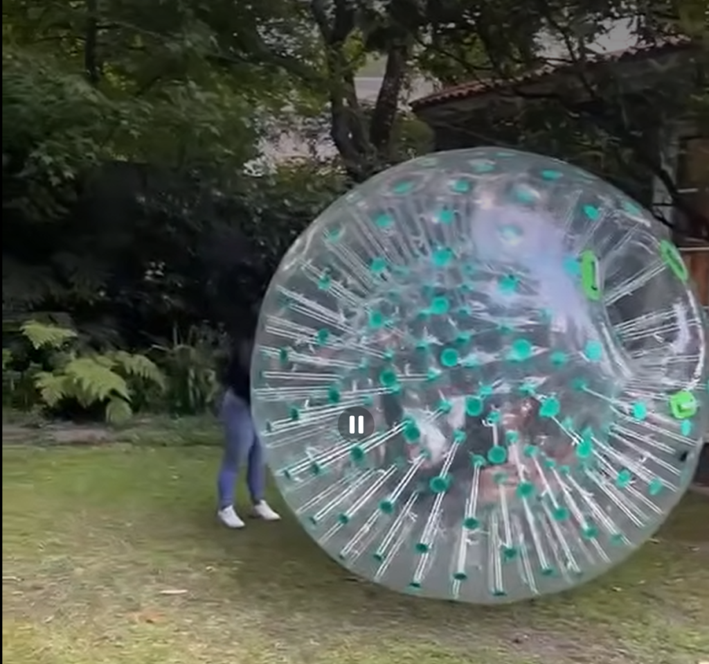 Esfera Zorb — Fermon Bry